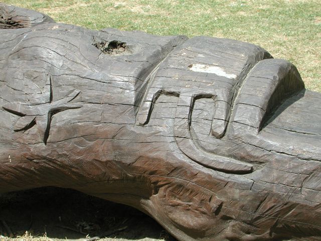 Tree trunk carving to form bench Clarence Park