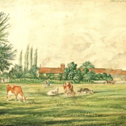 Cunningham Farm by John Buckingham