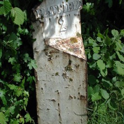 Popefield marker
