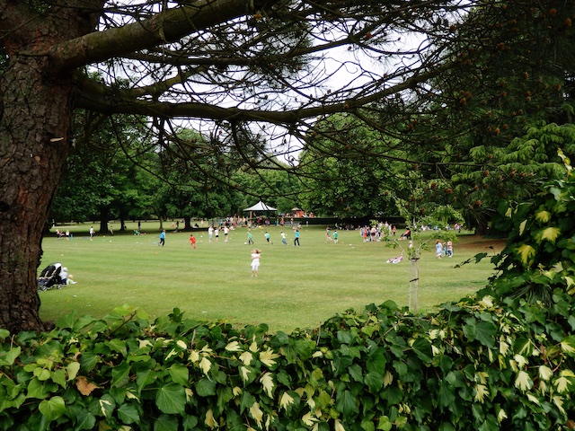 Well used recreation ground