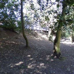 Clarence Park embankment