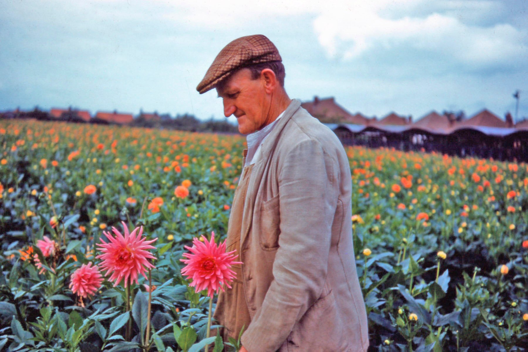 Ernie Cooper and smallholding