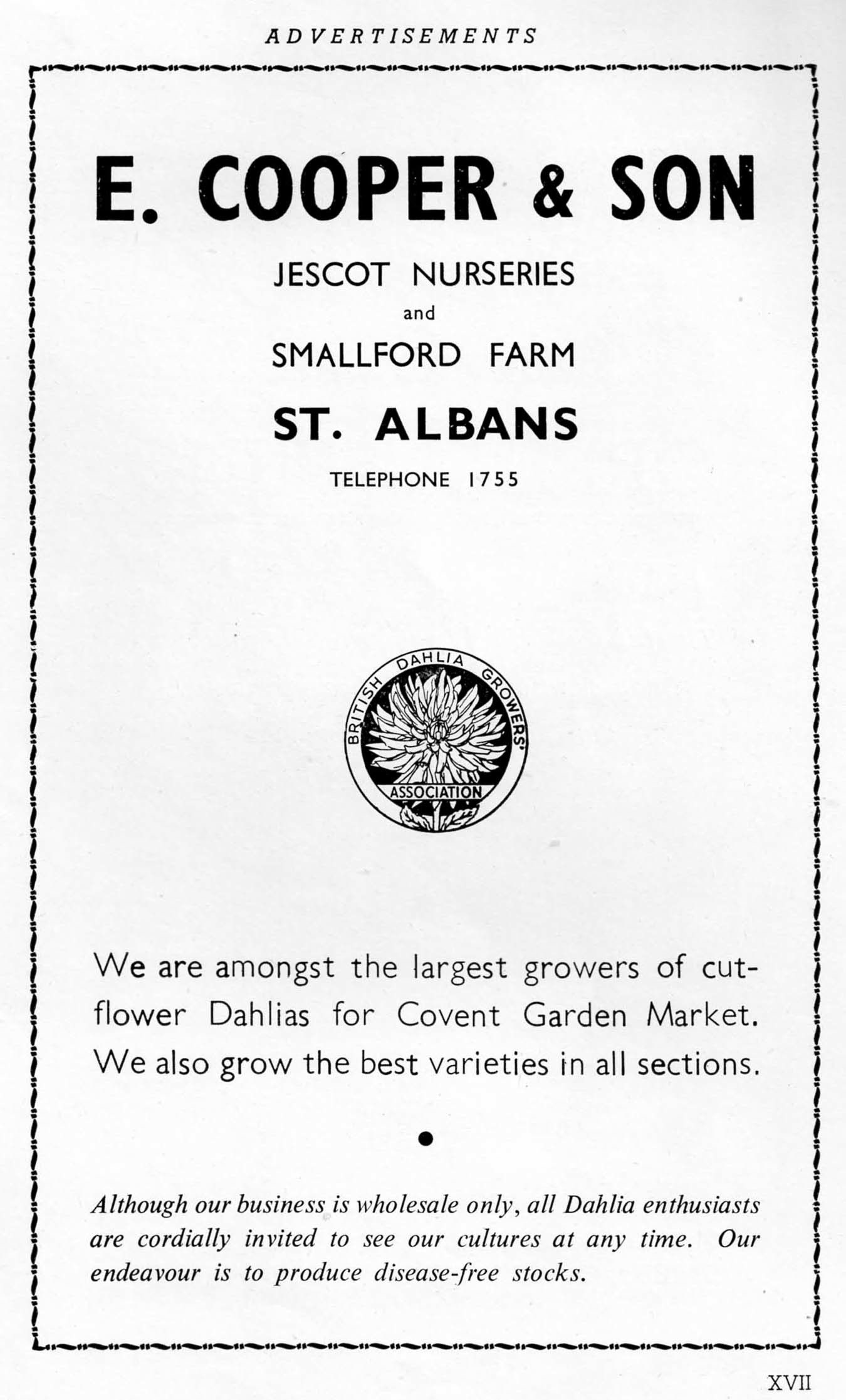 Sales brochure cover