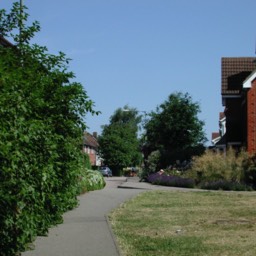 Infill housing near Longacres
